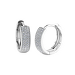 Charming Crystal 925 Silver Stud Earrings for Ladies